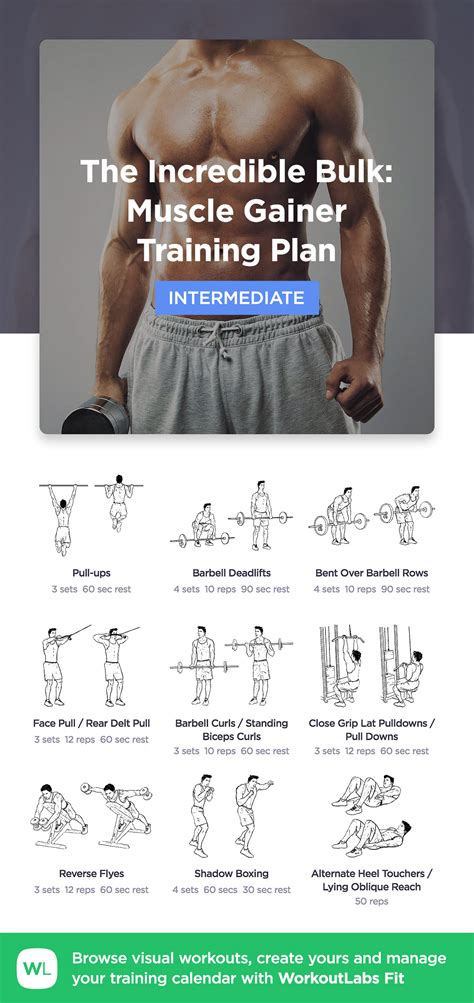 The Incredible Bulk: Muscle Gainer · WorkoutLabs Fit