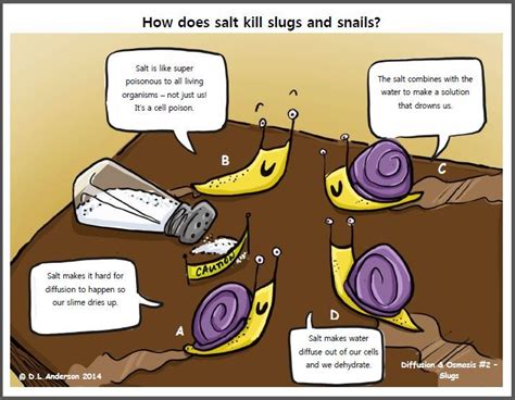 Diffusion & Osmosis Concept Cartoons | Point Loma Nazarene University | A Premier Southern ...