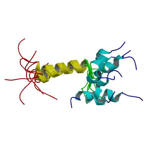 Parathyroid Hormone Structure