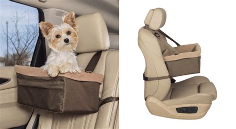 18 Most Essential Dog Car Travel Accessories You Must Have