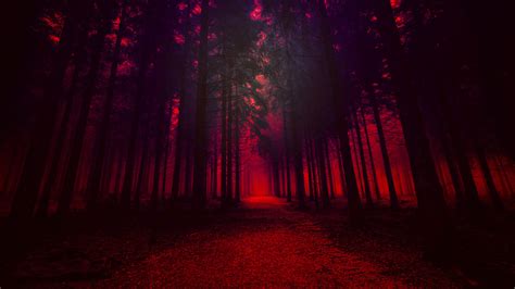 2560x1440 Resolution Red Forest 1440P Resolution Wallpaper - Wallpapers Den