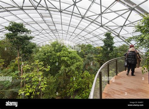 "Skywalk" of the Masoala rainforest hall in Zurich zoo Stock Photo: 68941439 - Alamy