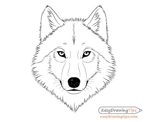 Wolf Ears Cartoon How To Draw A Cartoon Wolf (Anime Step By Step ...