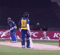 List of Cricket Shots Names | CricketBio