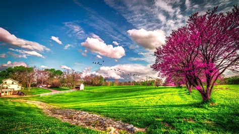 Beautiful spring wallpapers, Pictures, Images