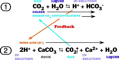 Figure 3: Carbonate Chemistry