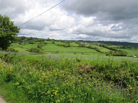 "Devon countryside from the country lanes near Dalwood, Devon" by poe ...