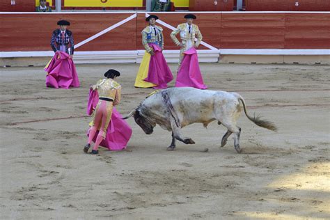 Matador Bullfight (15) | Pamplona | Pictures | Spain in Global-Geography