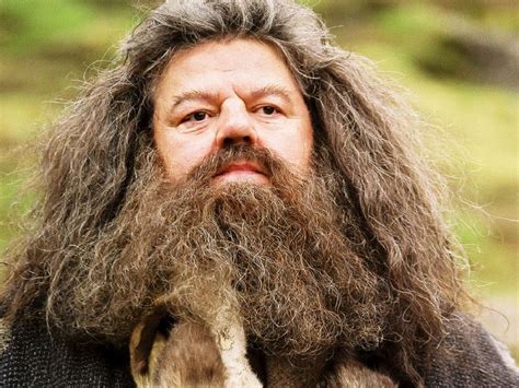 Hogwarts Professors Wallpaper: Rubeus Hagrid Wallpaper | Rubeus hagrid ...