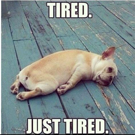 13 Accurate Memes About Being Tired That We Can All Relate To