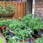 Gardening for Small Spaces - BC Farm Fresh