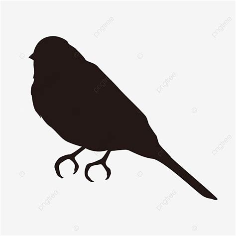 Shadows Silhouette PNG Free, The Shadow Of The Bird, Birdie, Birds, Fly PNG Image For Free Download