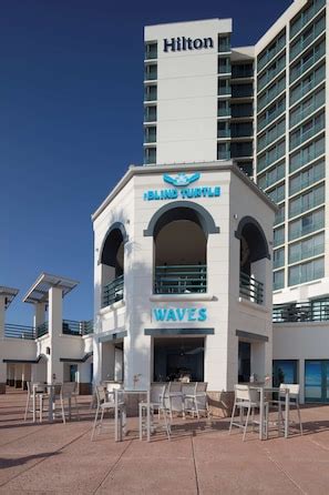 Hilton Daytona Beach Oceanfront Resort, Daytona Beach: Hotel Reviews ...