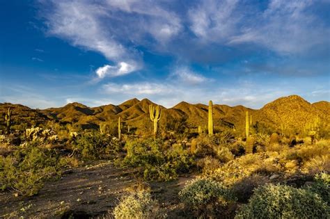 Free Photo | Sunset on the Sonoran desert