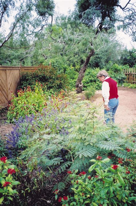 South Texas Botanical Gardens & Nature Center