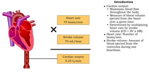 Cardiac Output