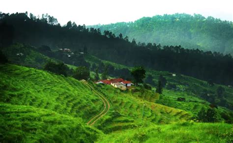 Nainital Ranikhet Hill Station Tour Packages - 4N/5D Tour