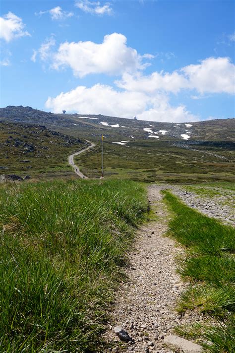 Explore the amazing National Park Vitosha - Madame Bulgaria