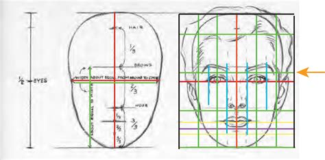 Pin by Ichiro Asakusa on クイック保存 | Facial proportions, Face proportions, Face proportions drawing