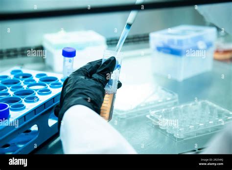 cell culture media Stock Photo - Alamy