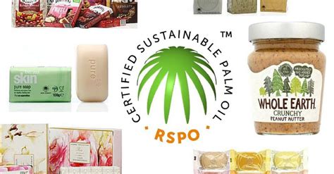 RSPO Endorses New Palm Oil Certification Standard | ESM Magazine