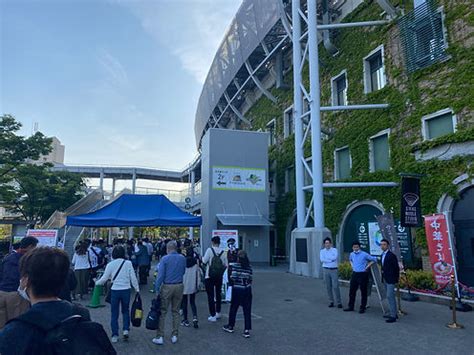 ⚾Tigers / Koshien stadium