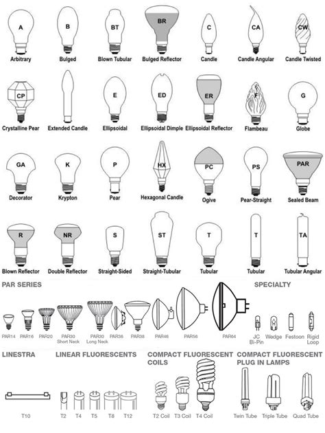 Light Bulb Sizes Chart