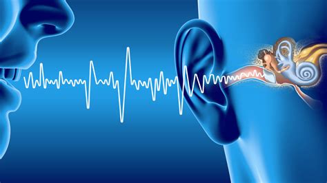 Deaf Mice Maintain Inner Ear Function Until Ear Canal Opens; Findings Shed Light on Cochlear ...