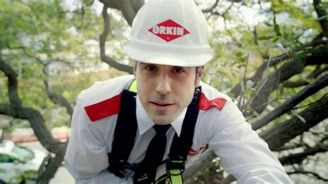 Orkin TV Commercial, 'Ants in Trees' - iSpot.tv