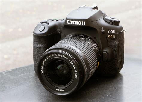 Canon eos 90d примеры фотографий