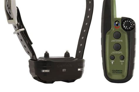 How the Garmin Sport Pro Collar Can Help You Train Your Dog