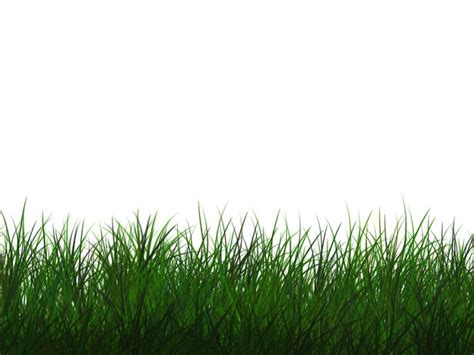 Free Transparent Grass Texture Seamless PNG | Grass texture seamless ...