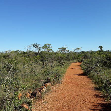 Brasilia National Park - 2019 All You Need to Know BEFORE You Go (with ...