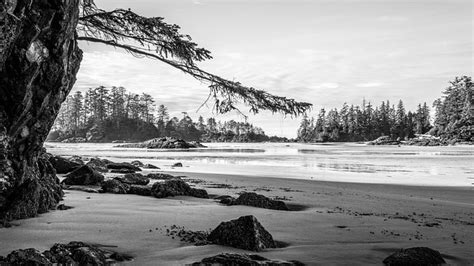 Beach Tofino Vancouver Island - Free photo on Pixabay - Pixabay