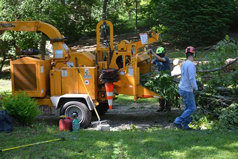 Woodstock Tree Removal Services - Krohn Kutz Tree Services