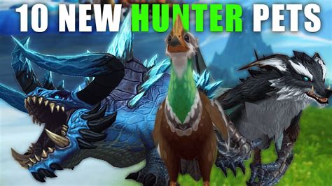 Top 10 New Hunter Pets Tamable in Dragonflight - YouTube