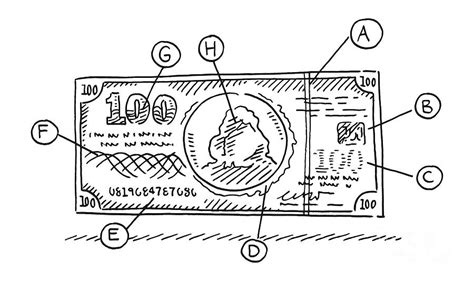 Banknote Security Features Drawing Drawing by Frank Ramspott - Fine Art America