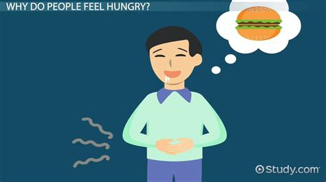 Hunger | Overview & Causes - Lesson | Study.com