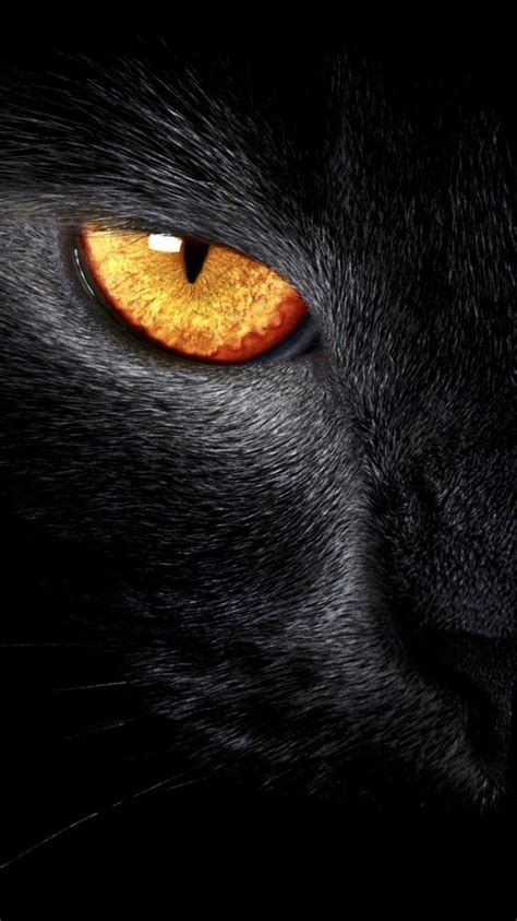 Black Panther Eyes Wallpapers - Top Free Black Panther Eyes Backgrounds - WallpaperAccess