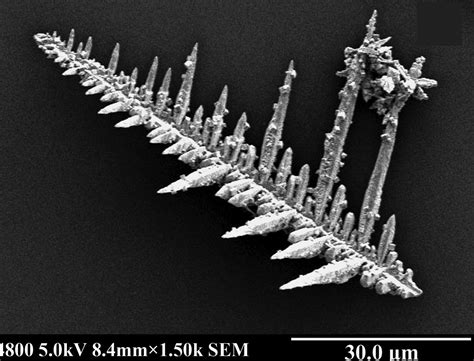 Controlled synthesis of silver phosphate crystals with high photocatalytic activity and ...