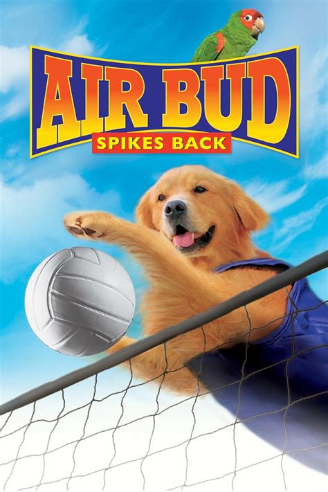 Air Bud: Spikes Back (Video 2003) - IMDb