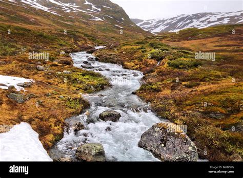 Tundra biome hi-res stock photography and images - Alamy