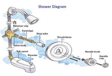 shower parts – Charts | Diagrams | Graphs