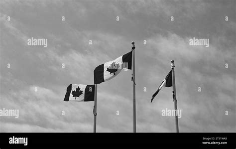 canadian flag of canada. maple leaf on canadian flag of canada ...