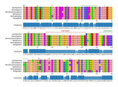 GitHub - moshi4/pyMSAviz: MSA(Multiple Sequence Alignment) visualization python package for ...