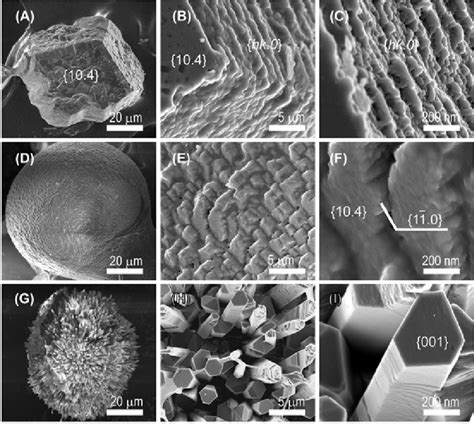 4 SEM pictures showing the morphology of calcium carbonate crystals... | Download Scientific Diagram