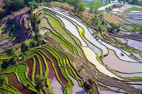 Rice Terraces | yuanyang, Yunnan, China | Hoang Giang Hai | Flickr