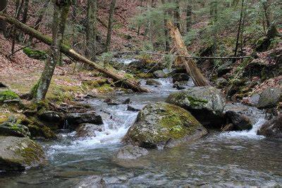 Hiking Trails near The Berkshires