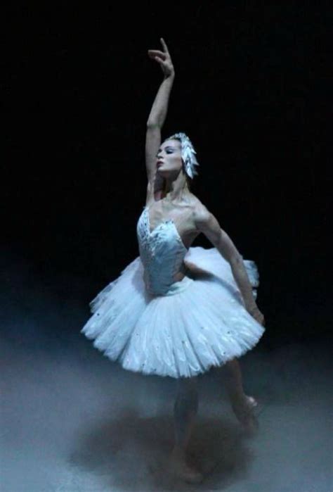 Diana Vishneva Swan Lake as Odette - Mariinsky stage… | Swan lake ...