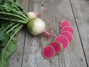 How to Grow Watermelon Radish - Plant Instructions